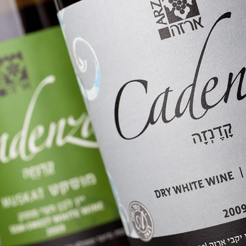Read more about the article ARZA WINERY