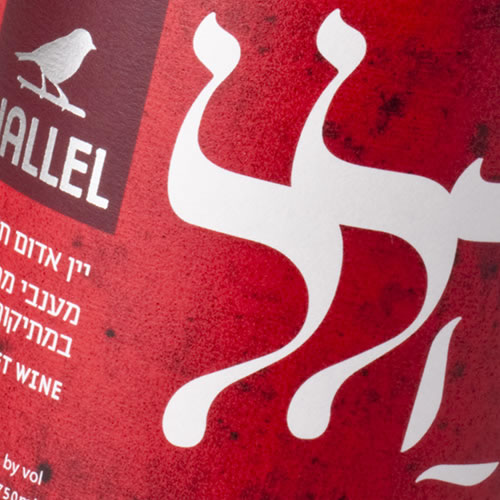 Read more about the article ARZA WINERY